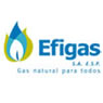 Efigas ESP